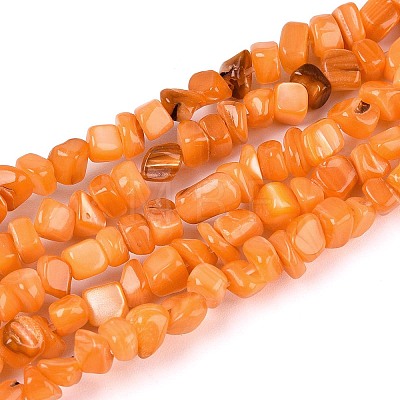 Natural Freshwater Shell Beads Strands SHEL-N037-04F-1