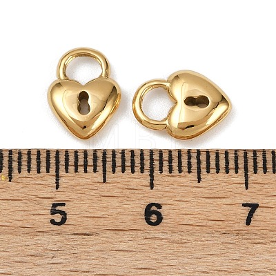 304 Stainless Steel Charms STAS-R170-01G-07-1