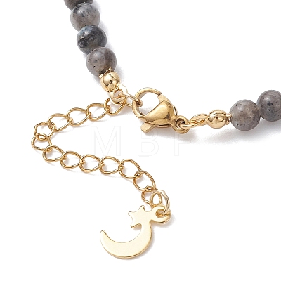 Natural Larvikite Round Graduated Beaded Necklaces NJEW-JN05654-03-1