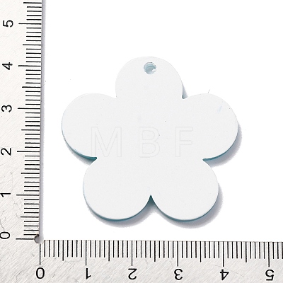 Acrylic Pendants OACR-Q055-01F-1