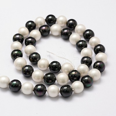 Shell Pearl Bead Strands BSHE-L017-13-1