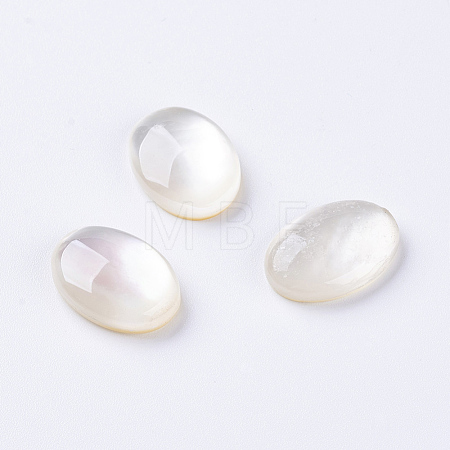 Shell Cabochons X-G-L470-15-1
