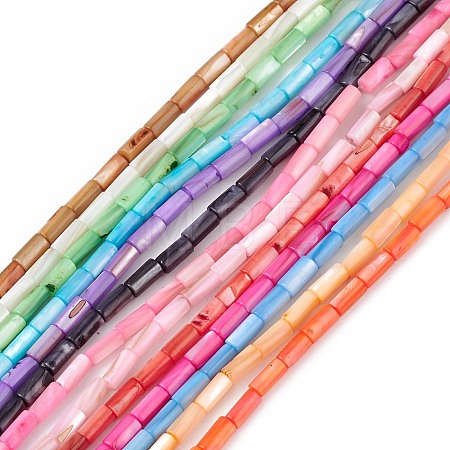 Natural Freshwater Shell Dyed Beads Strands SHEL-M018-11-1