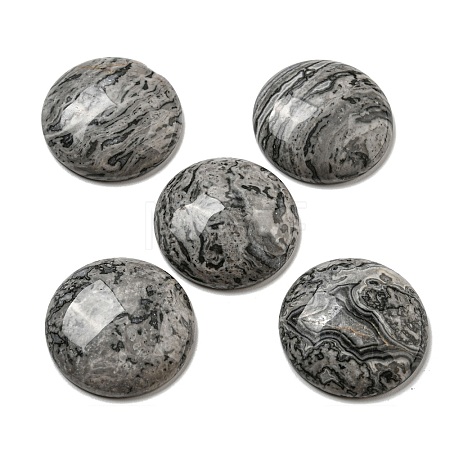 Natural Map Stone Cabochons G-C115-02B-20-1