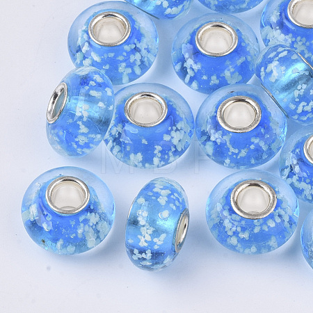 Handmade Lampwork European Beads LAMP-S193-006-1