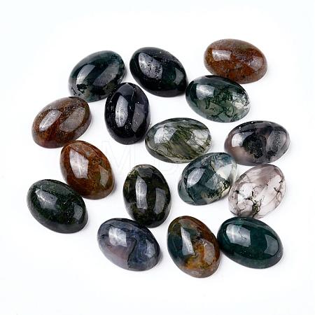 Natural Indian Agate G-F296-09-10x14mm-1