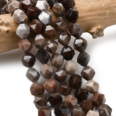 Natural Petrified Wood Beads Strands G-Z119-A21-02-1