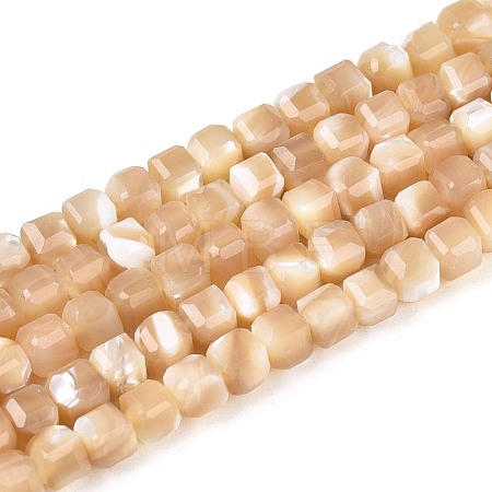 Natural Trochid Shell/Trochus Shell Beads Strands BSHE-T014-52B-01-1