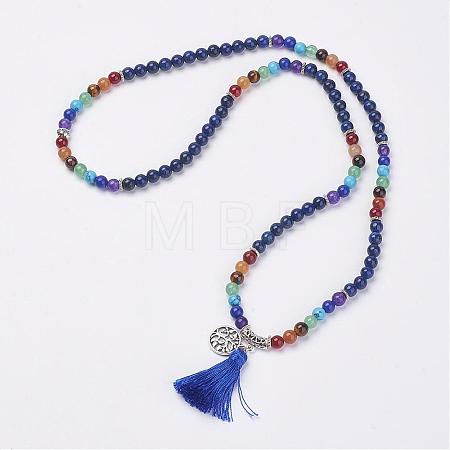 Natural Gemstone Beads Necklaces NJEW-F147-B01-1