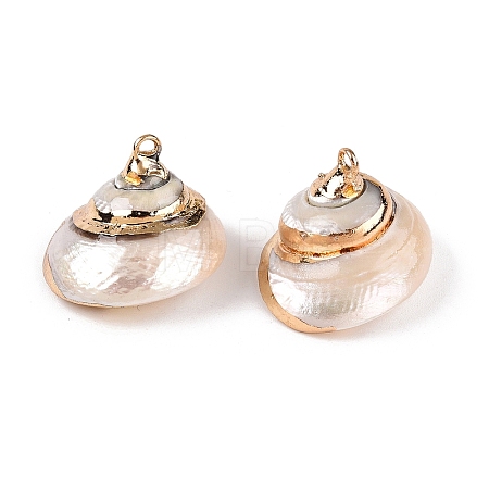 Natural Sea Shell Pendants SSHEL-N038-59-1