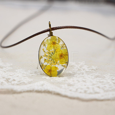 Alloy Wire Wrapped Oval Glass Inner Dried Flower Pendant Waxed Cord Necklaces for Women FS-WG6B63C-05-1