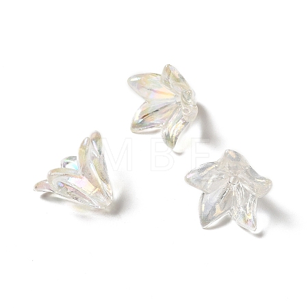 Transparent Acrylic Bead Caps LS-X-OACR-H016-05A-1