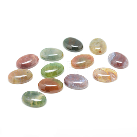 Natural Indian Agate Gemstone Cabochons G-T020-8x10mm-27-1