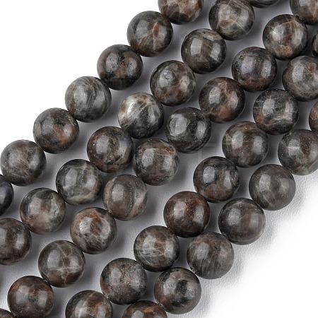 Natural Labradorite Beads Strands G-G0003-C03-10mm-1
