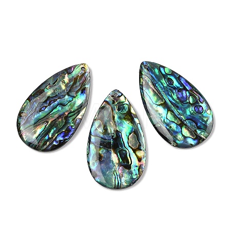 Natural Paua Shell Pendants SSHEL-I026-08B-1