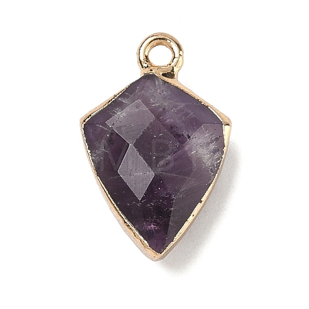 Natural Amethyst Pendants G-K422-01G-11-1