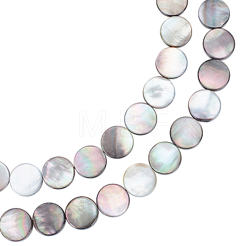 1 Strand Natural Black Lip Shell Beads Strands SHEL-BC0001-026-1