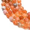 Natural Red Botswana Agate Beads Strands GG-CBA3921-B12-8mm-3