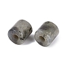 Natural Labradorite European Beads G-P520-05K-3