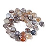 Natural Botswana Agate Beads Strands G-C116-A65-01-4