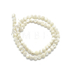 Natural White Shell Beads G-O171-09-6mm-2