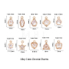 Alloy Cubic Zirconia Charms ZIRC-CJ0001-02LG-2