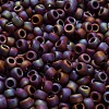 TOHO 6/0 Round Beads X-SEED-TR06-0406F-4