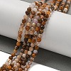 Natural Fossil Coral Beads Strands G-B099-C02-01-2