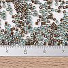 MIYUKI Delica Beads X-SEED-J020-DB1775-3