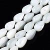 Natural Trochid Shell/Trochus Shell Beads Strands SSHEL-S266-022-1