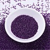 MIYUKI Delica Beads SEED-X0054-DB0281-2