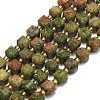 Natural Unakite Beads Strand G-I376-D70-01-1