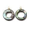 Natural Abalone Shell Pendants SH-CJC0AC7-01G-G-1