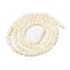 Natural Trochus Shell Beads Strands SHEL-P017-05-2