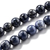 Natural Dumortierite Quartz Beads Strands G-L574-07B-1