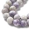 Natural Purple Turquoise Beads Strands G-L595-C04-02-4