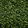 Baking Paint Glass Seed Beads SEED-S042-05A-21-3