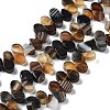 Natural Agate Beads Strands G-G021-04A-08-1