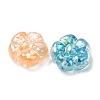 Transparent Resin & Natural Shell Beads RESI-B039-01A-2