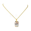 Natural Mexican Agate/Crazy Lace Agate Rectangle Pendant 304 Stainless Steel Cable Chain Necklaces NJEW-JN06210-01-4