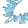 Spray Painted Electroplate Natural Quartz Crystal Points Beads Strands G-Q610-02D-3
