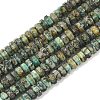 Natural African Turquoise(Jasper) Beads Strands G-L654-I04-01-2