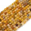 Natural Agate Beads Strands G-H302-A01-14-2