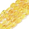 Natural Amber Beads Strands G-L095-C01-02-2