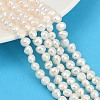 Natural Cultured Freshwater Pearl Beads Strands PEAR-P064-19G-03A-1