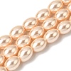 Electroplated Shell Pearl Beads Strands BSHE-B008-07C-1