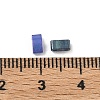 Glass 2-Hole Baking Paint Glass Seed Beads GLAA-G130-01F-4