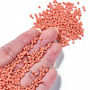 Glass Seed Beads SEED-S060-A-F419-4