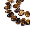 Natural Tiger Eye Beads Strands G-Z091-A21-3