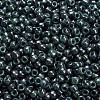 TOHO 6/0 Round Beads SEED-TR06-1207-3